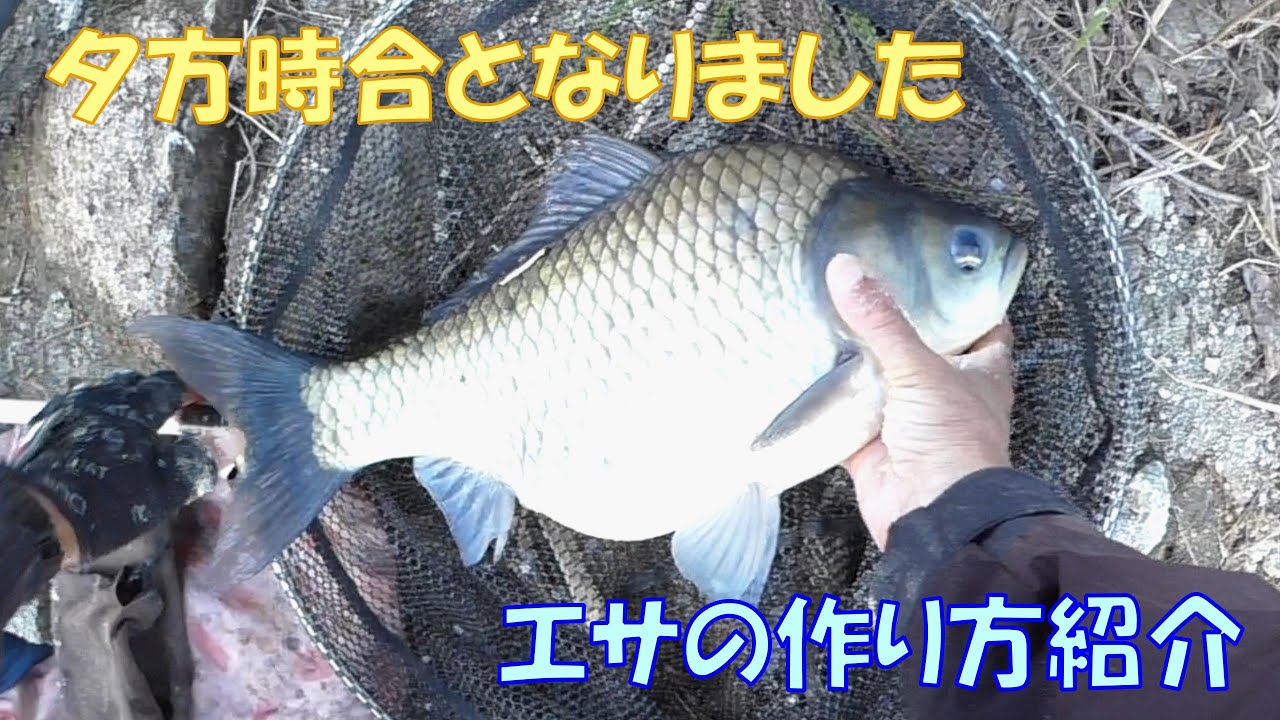 高山ダムに泣いて上津ダムで笑う！？ エサの作り方紹介します［上津ダム編６］