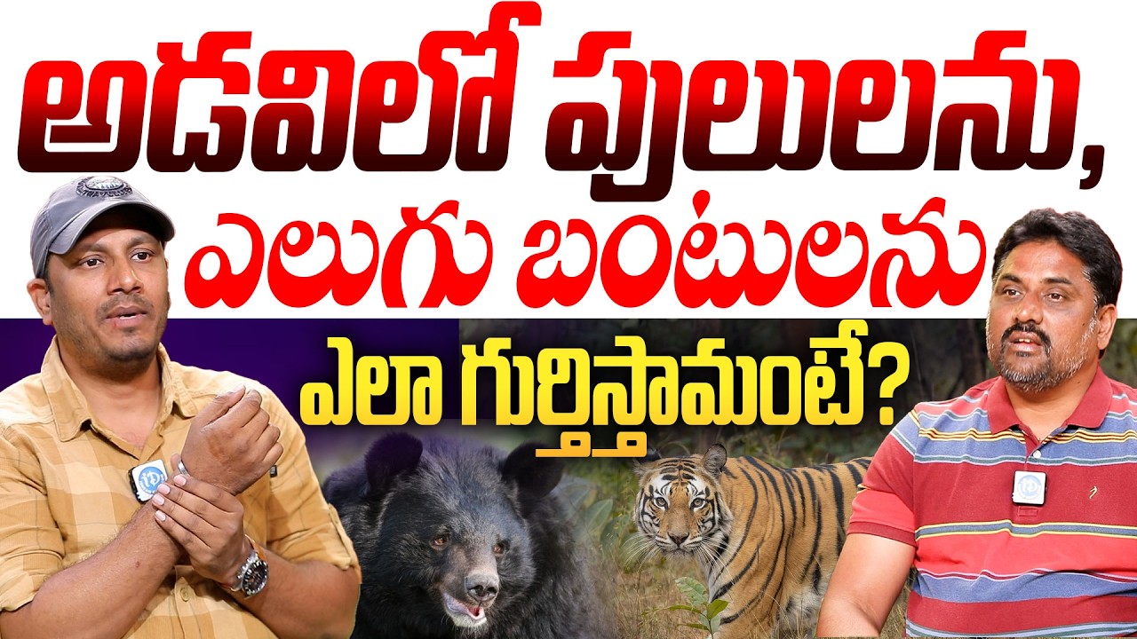 Traveler Vamshi Praveen Interview | Amrabad Forest Tigers | Open Talk with Roddam Srinivas | iDream