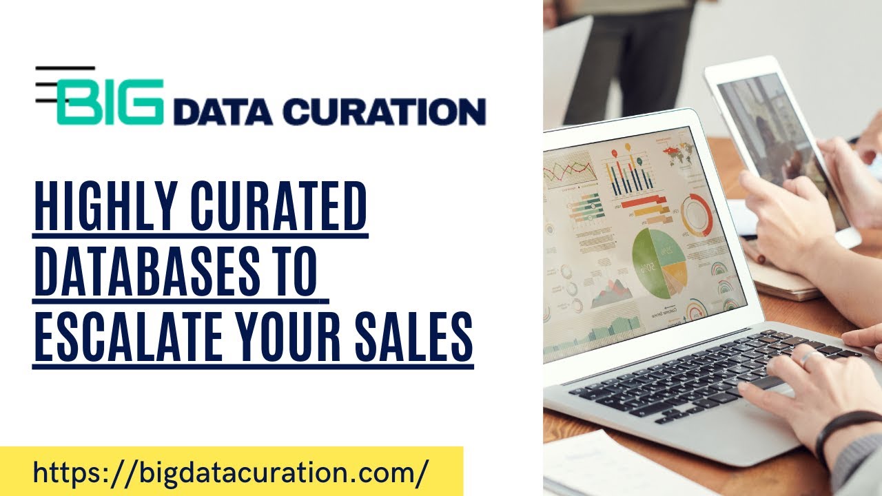 Introducing Big Data Curation | Highly Curated Databases To Escalate Your Sales