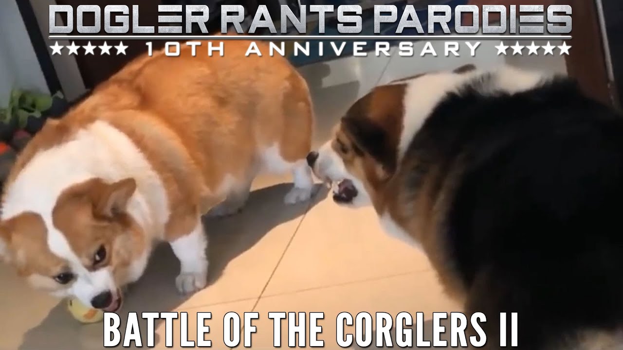 Battle of the Corglers II