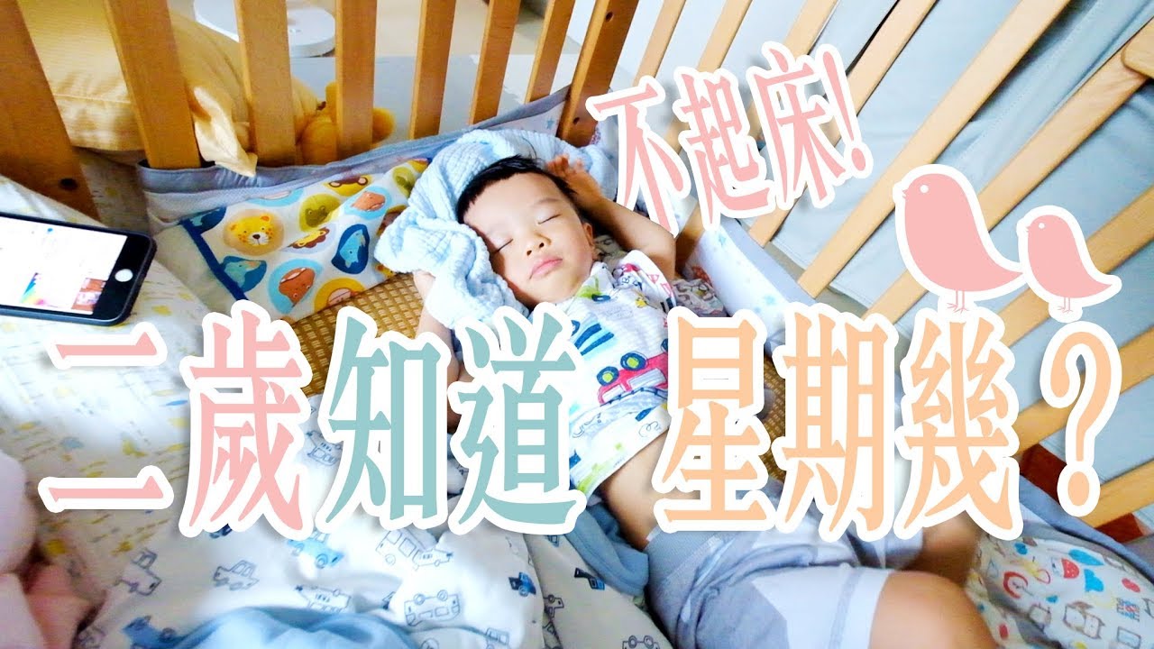 【鳥先生&鳥夫人】平日賴床假日早起!兩歲知道今天星期幾?鳥寶寶日記#26