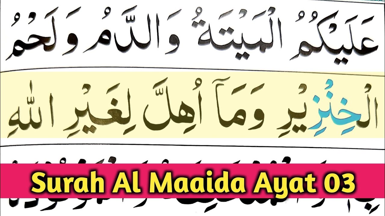 005 Surah Al Maaida ayat no 03 || learn Quran with Ahkamo tajweed easy way || Learn Quran Live