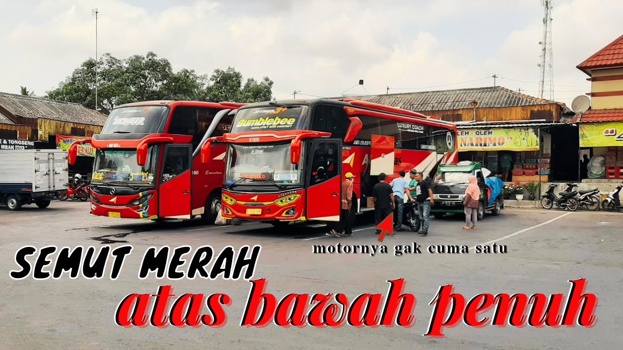 WOWWW..!!PO Agra Mas Sang Penguasa Wonogiri Sampai Mengangkut 3 Motor di Terminal Kecil Pracimantoro
