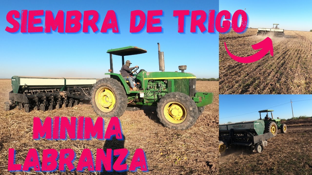 Siembra de trigo a labranza mínima/ siembra directa/ Villa Juárez