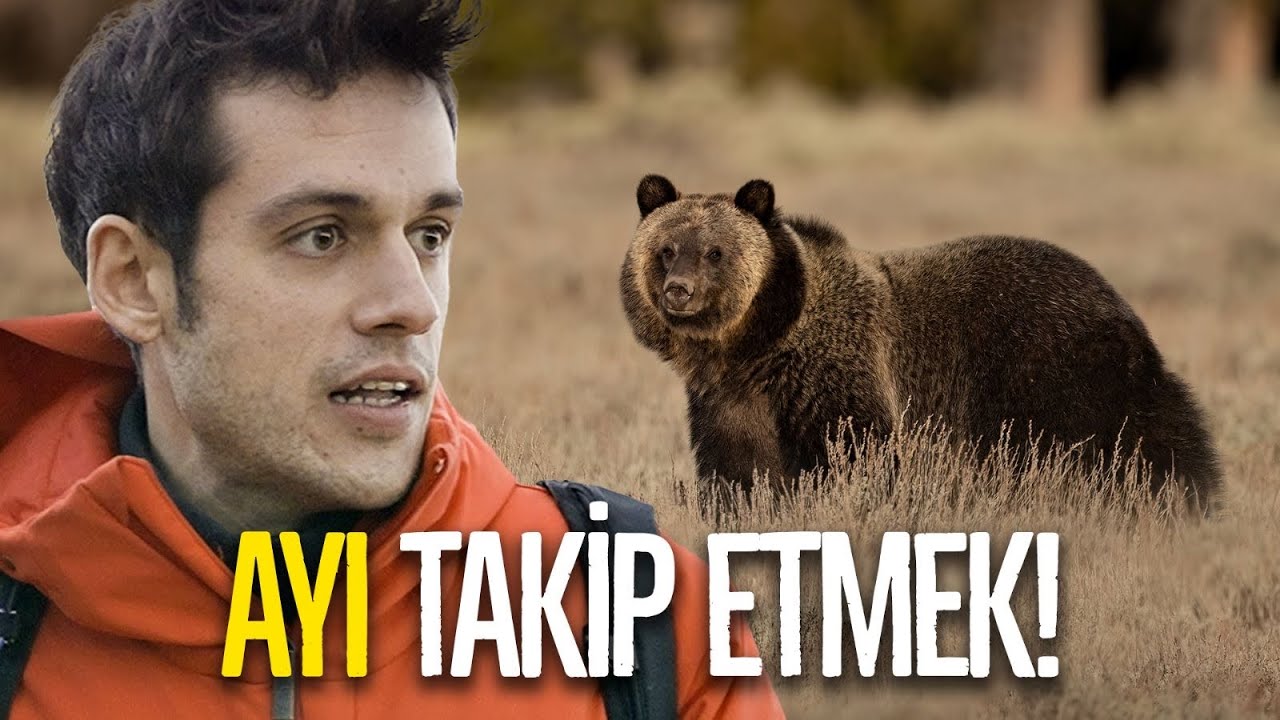 VAHŞİ AYILARLA BİR GÜN GEÇİRMEK! ft. 