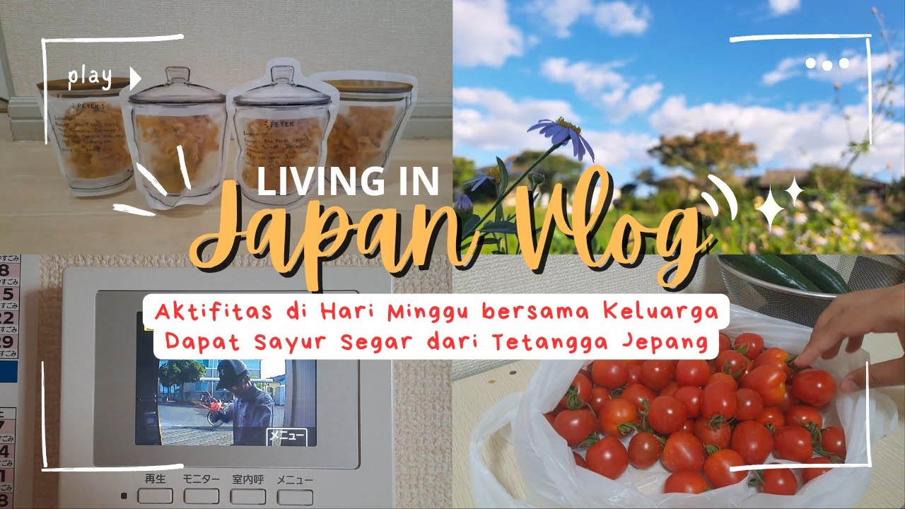 Living in Japan Vlog I Aktifitas di Hari Minggu bersama Keluarga & Masak Peyek untuk Tetangga Jepang