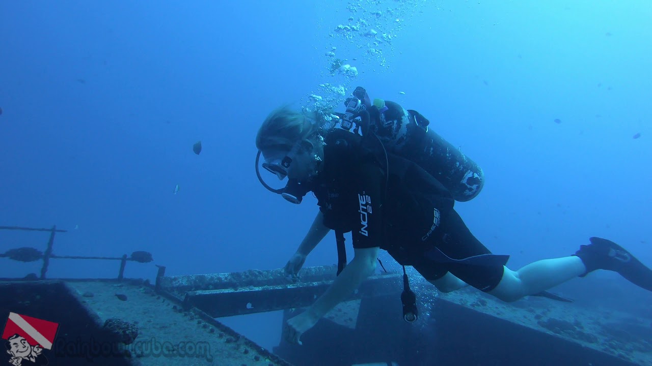 Incredible Reasons Texas Family Scuba Dive Hawaii! - vlog 330