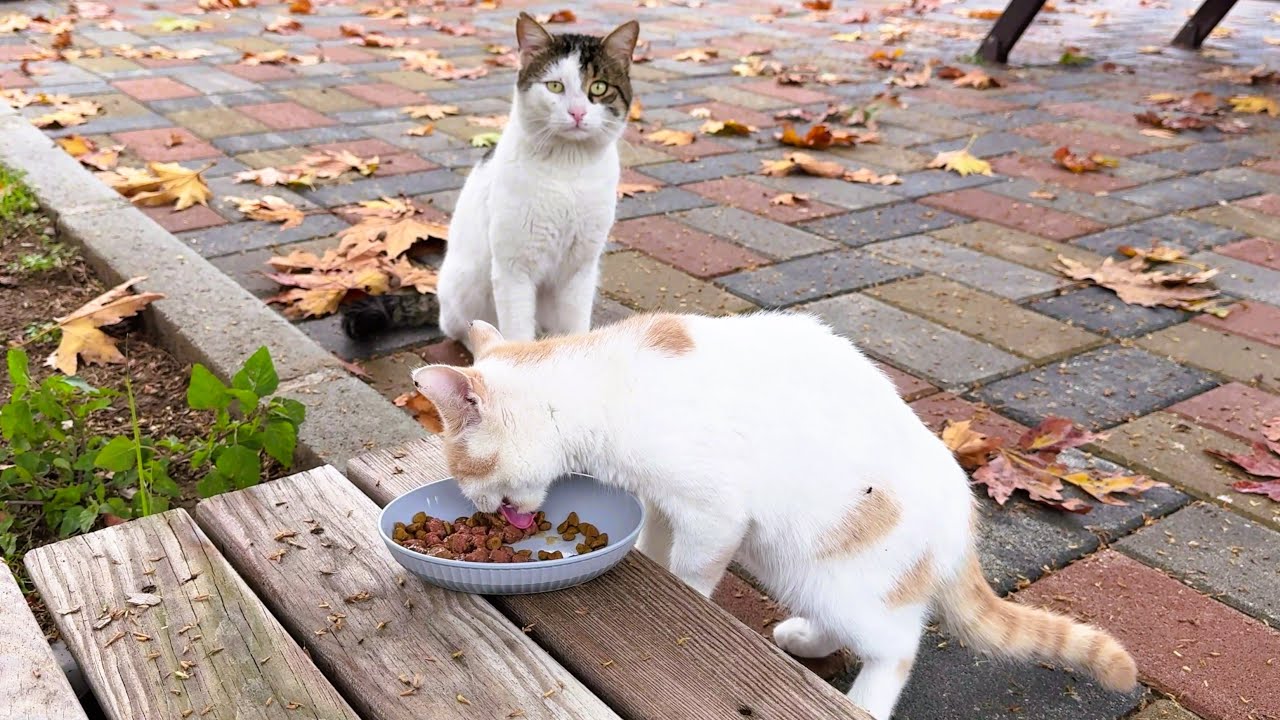 Everyone Was Watching Him Eat