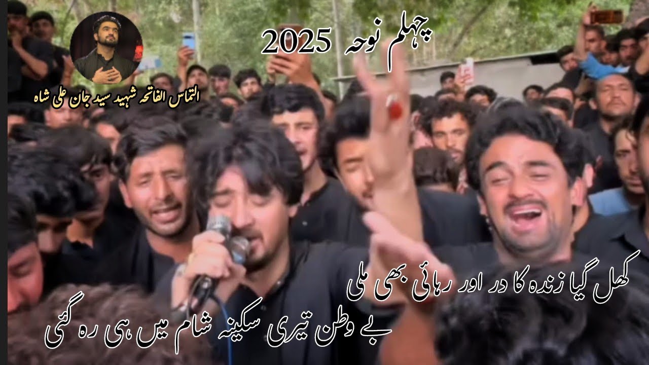 چہلم امام حسین 2025 Dasta Ale Aba Agaypa shigar Noha سید آغا جان رضوی #hayee #unfrezzmyaccount 