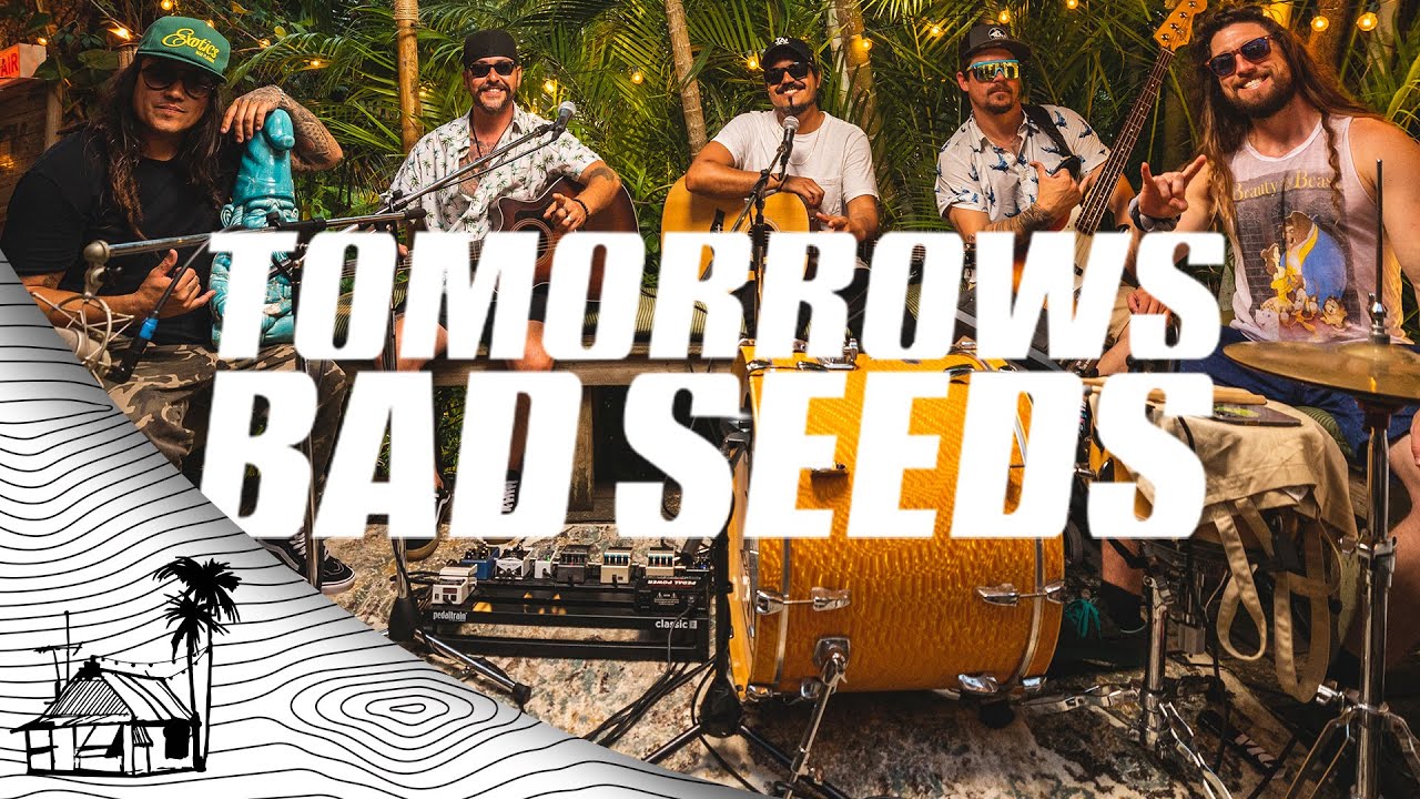 Tomorrow's Bad Seeds - Full Set (Live Acoustic) | Sugarshack Sessions