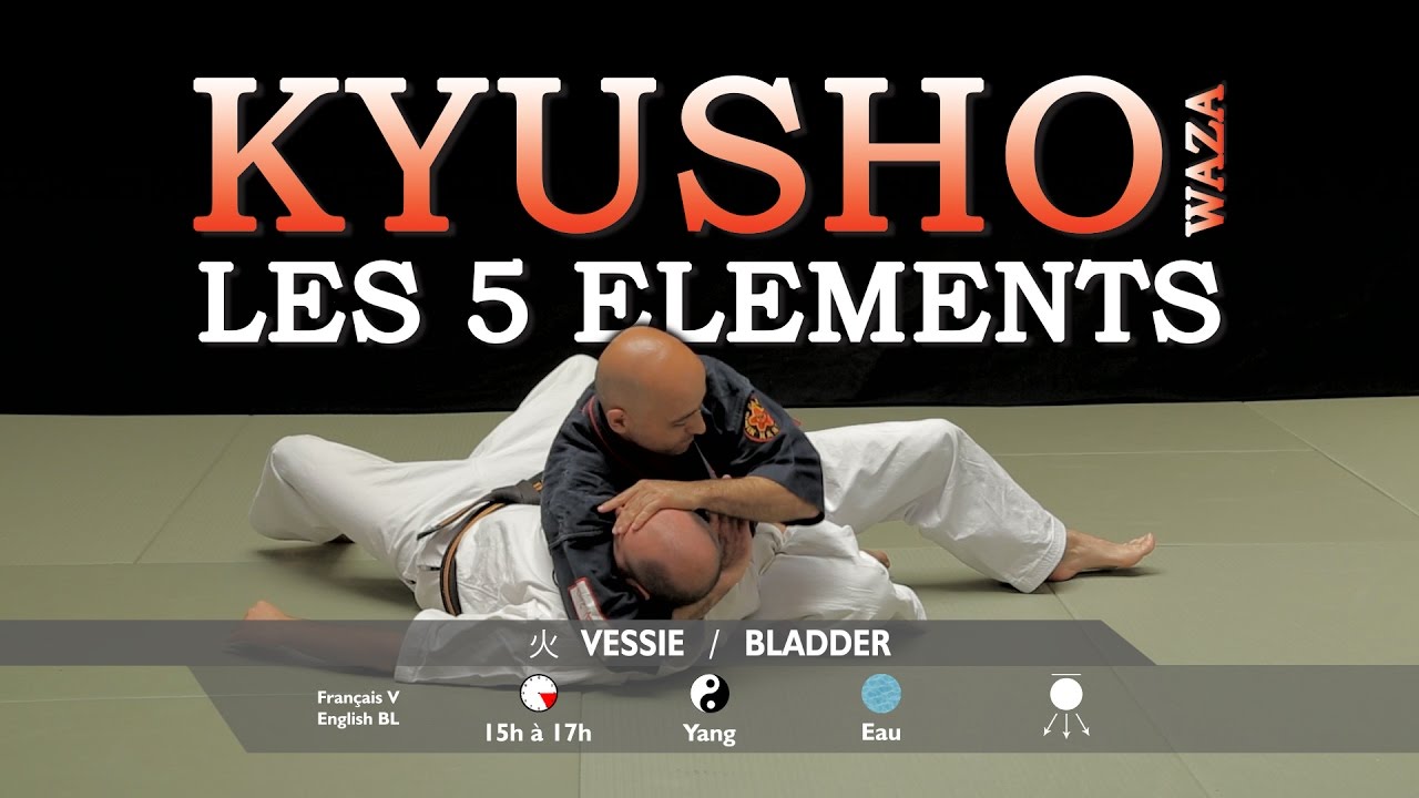 Points vitaux - Kyusho les 5 éléments