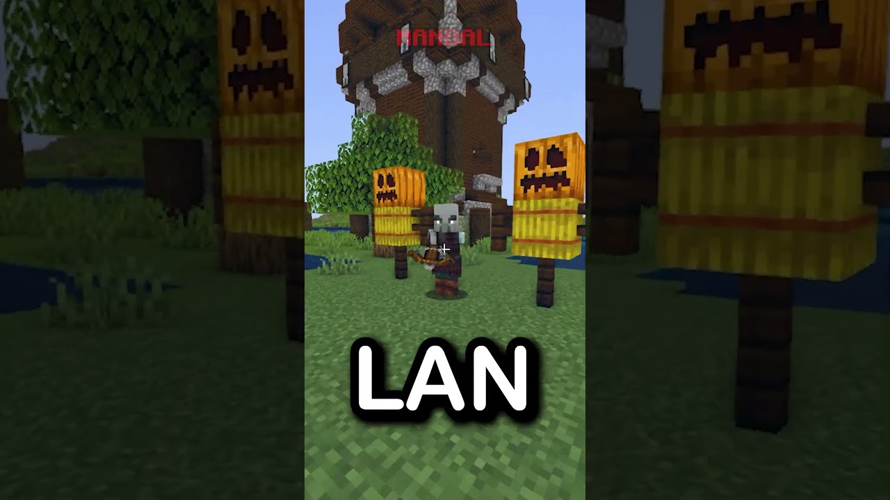 Minecraft AMA Doğru S&ouml;ylemem YASAK!