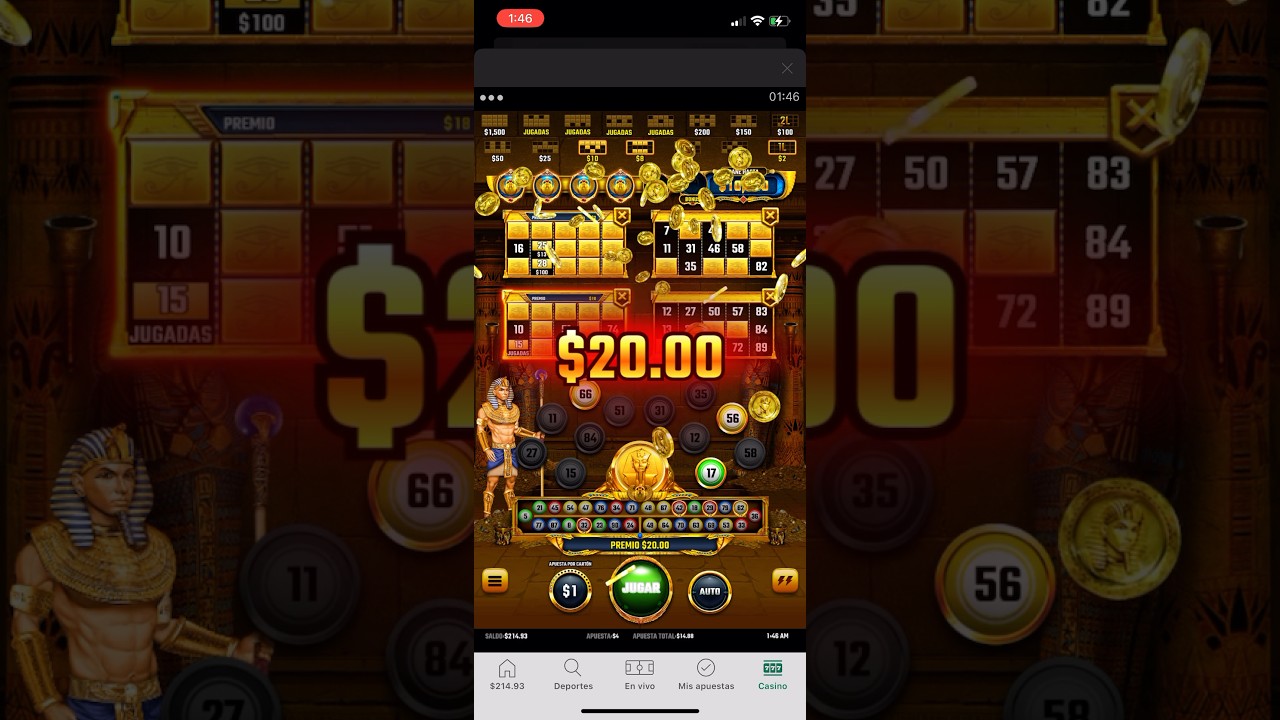 Amazing Pharaoh BINGO ($1 bet per card) | Bet 365 App 🎰