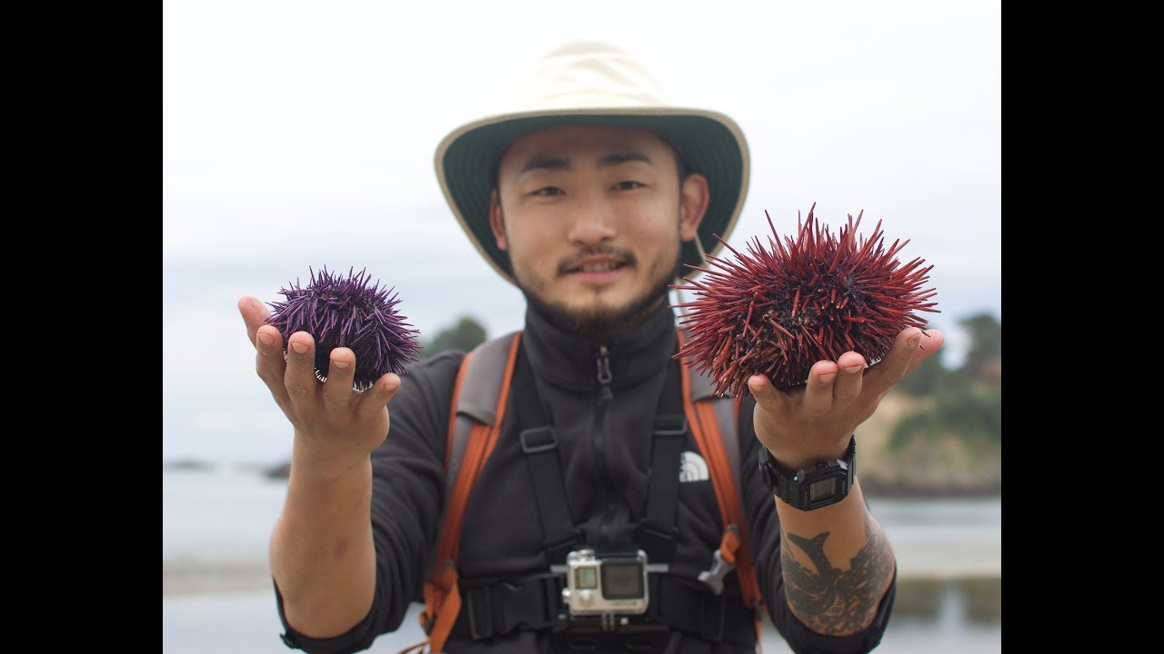 Camping + Coastal foraging for uni