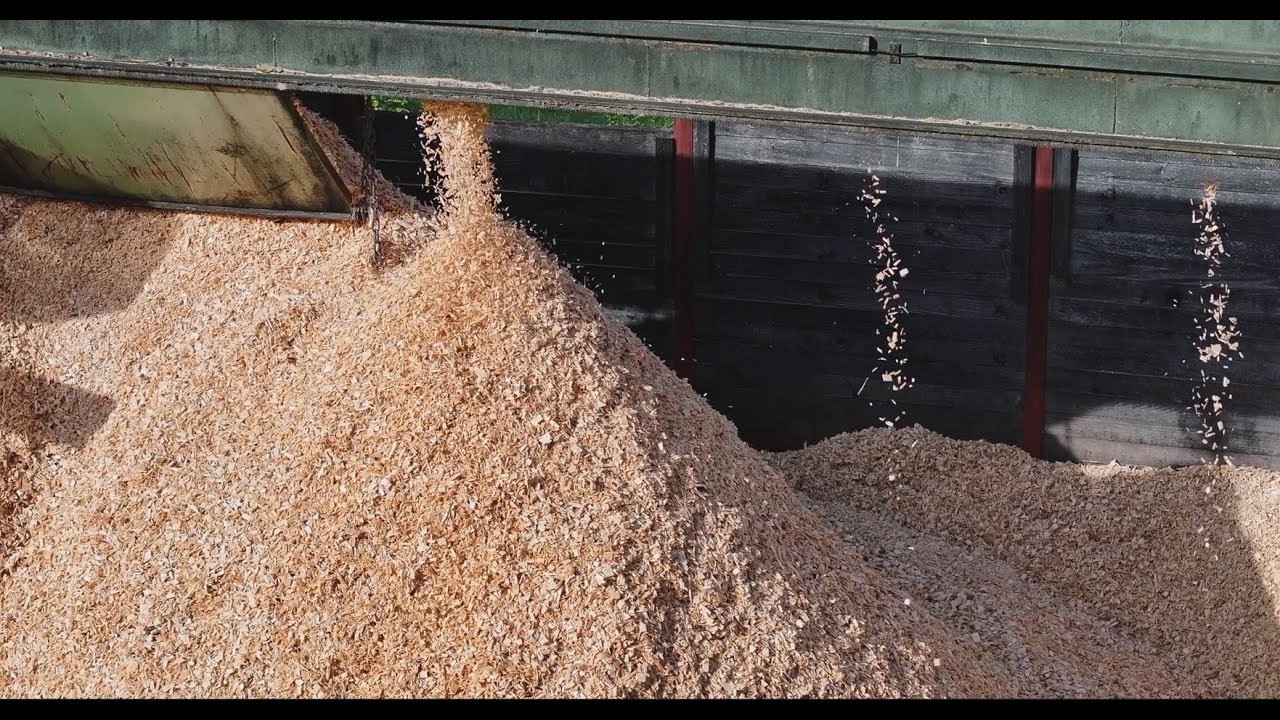 Comment les copeaux de bois OLWO deviennent des panneaux isolants Gutex