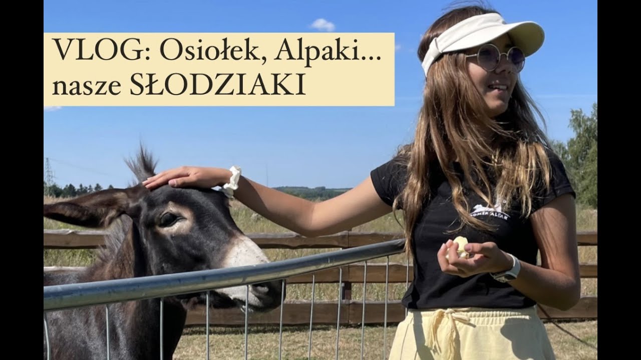 VLOG: Osiołek, Alpaki...nasze SŁODZIAKI