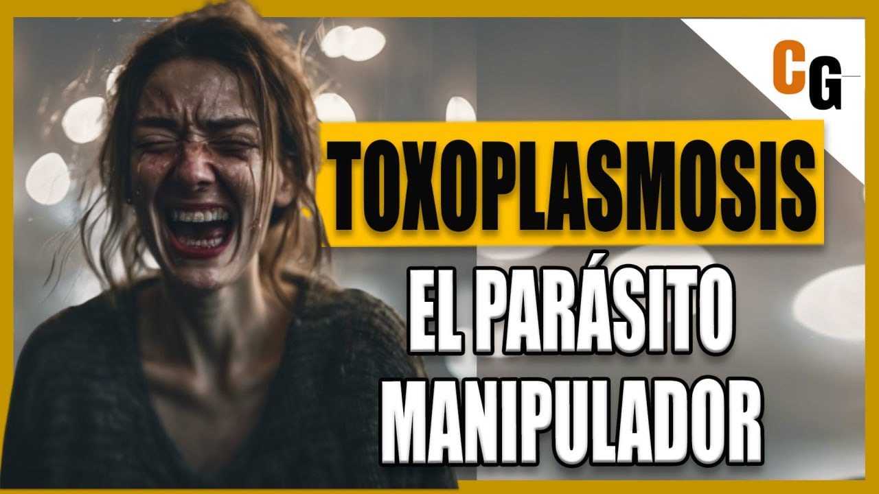 Toxoplasmosis - El Parásito que Manipula Cerebros - Síntomas y Relación con los Gatos y el Embarazo