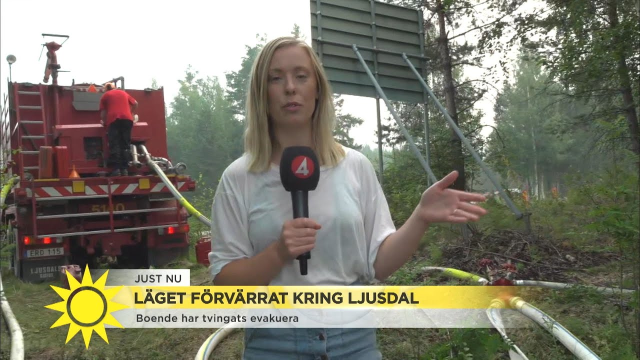 Branden i Ljusdal – ”Det är så illa att brandmännen inte kan vara nere på marke - Nyhetsmorgon (TV4)