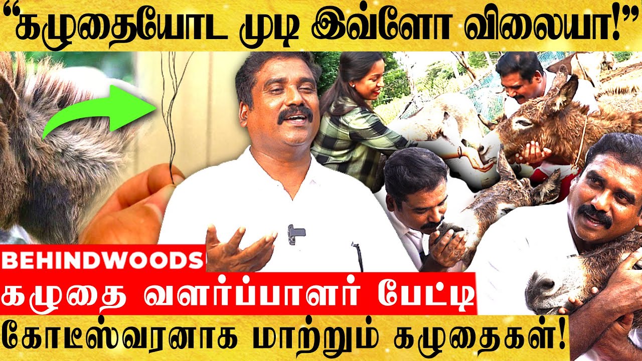 கழுதையை பார்த்தா யோகம் வருமா? 