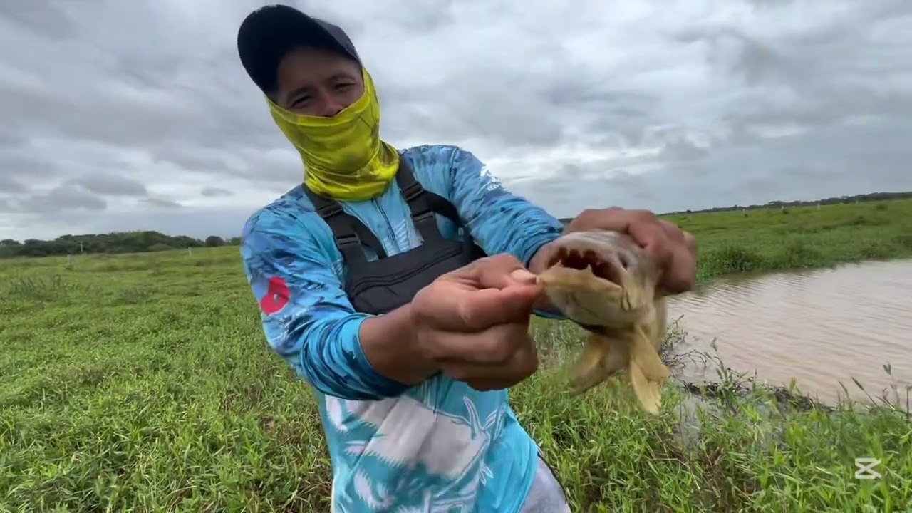 Amigos tres días de pesca vean  lo que sacamos 