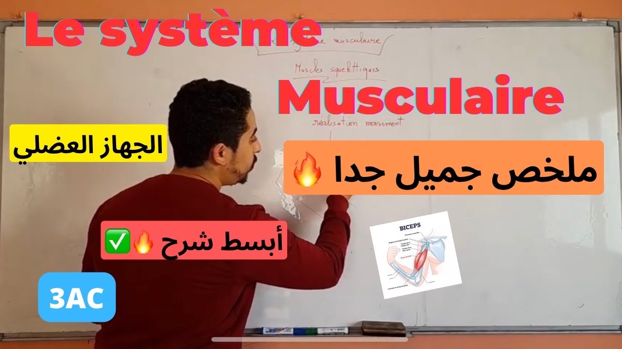 3AC : Super résumé | Le système musculaire 🔥⚡منهجية الإجابة عن أسئلة الإمتحان