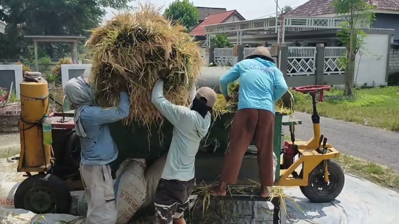 Blower Padi Keliling