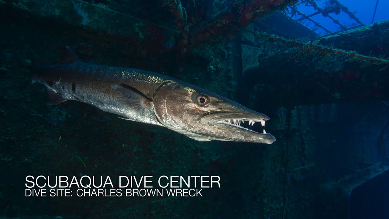 DIVE SITE: CHARLES BROWN WRECK SINT EUSTATIUS