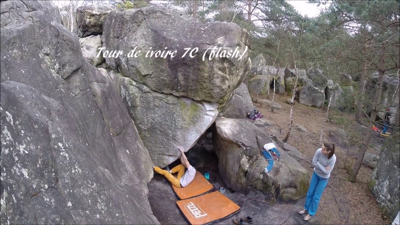 Fontainebleau diaries III