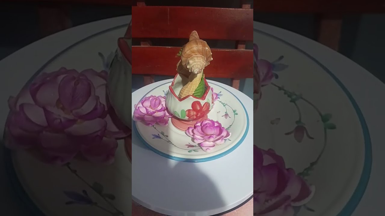 พาชมของสะสมน่ารัก