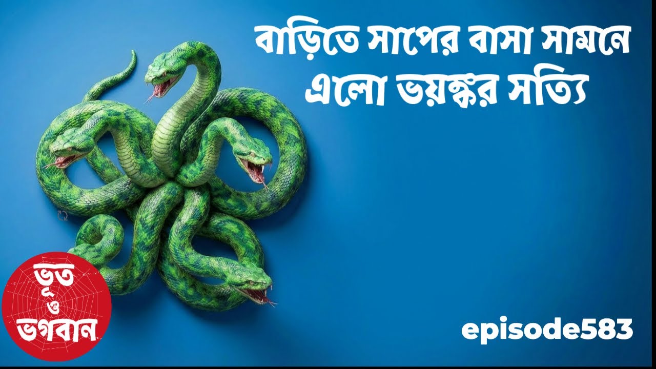 বাড়িতে সাপের বাসা সামনে এলো ভয়ঙ্কর সত্যি Episode583