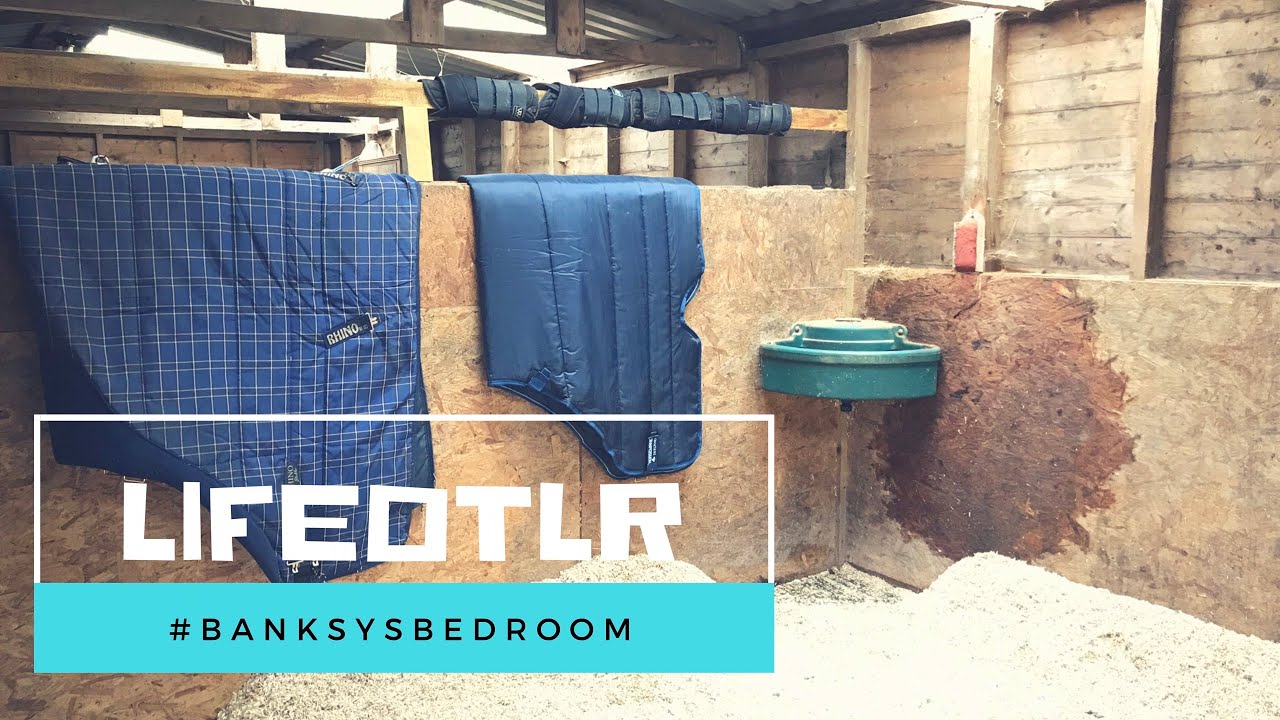 Easibed Update ~ Time to Stock Up for Winter ~ LifeOTLR