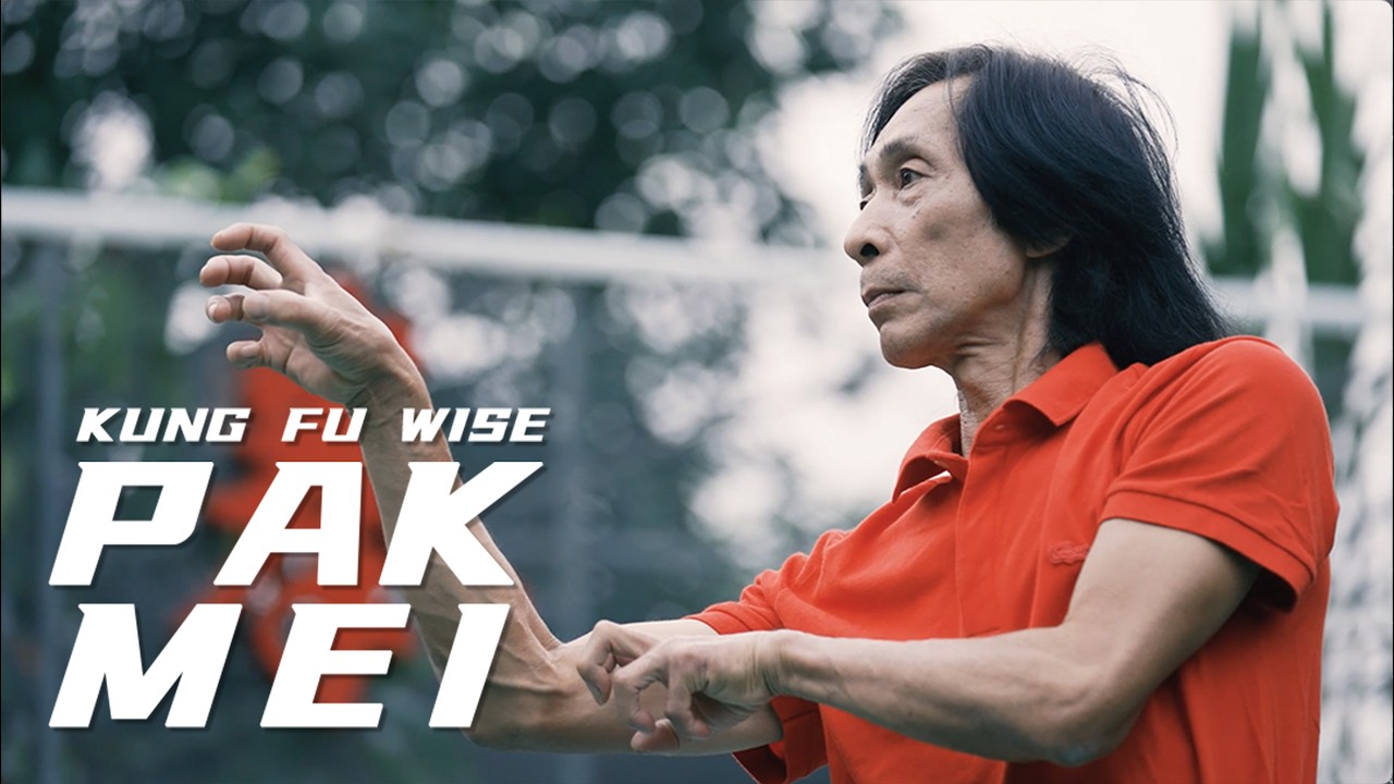 From Video Game to Real Pak Mei Kung Fu in Foshan | Kung Fu Wise