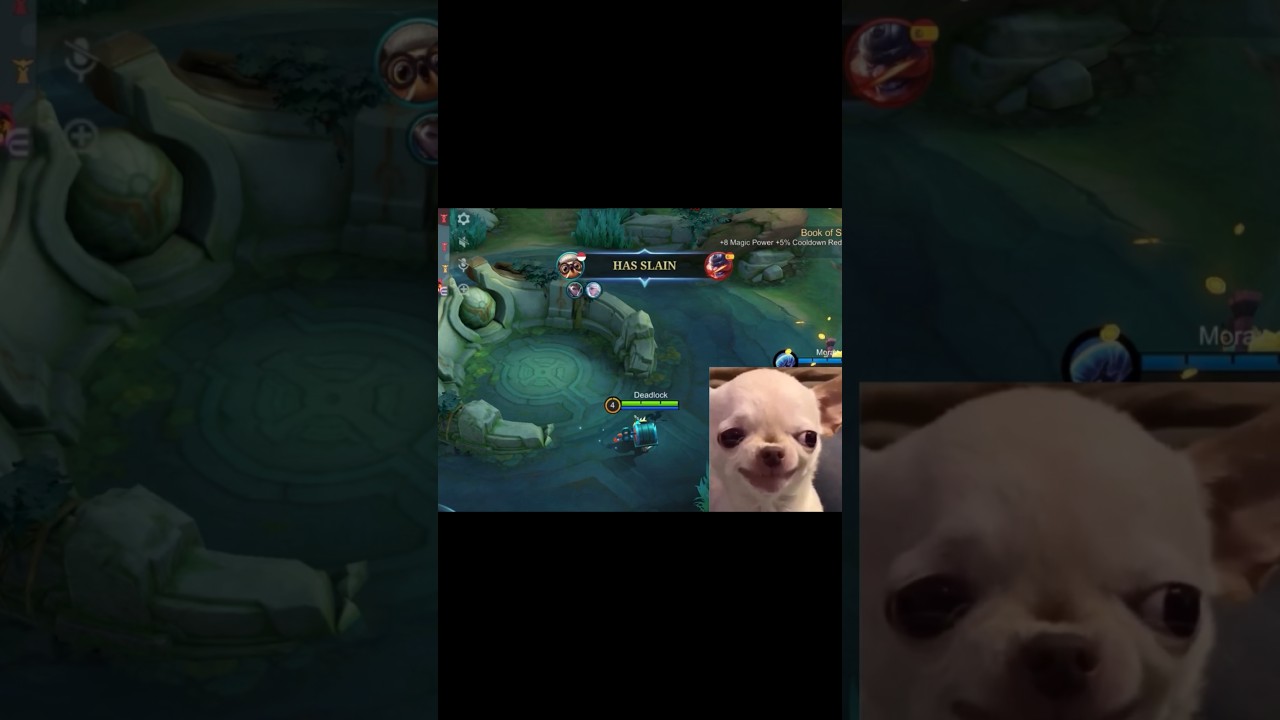 Diggie got Franco ❤️#viral#mobilelegends#mlbb#youtube#mobilelegendsindonesia#shorts#ytshorts#gaming