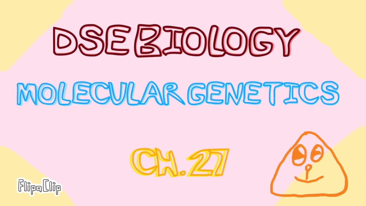 [DSE BIO🔥] 30分鐘搞掂CH. 27 Molecular Genetics🧬