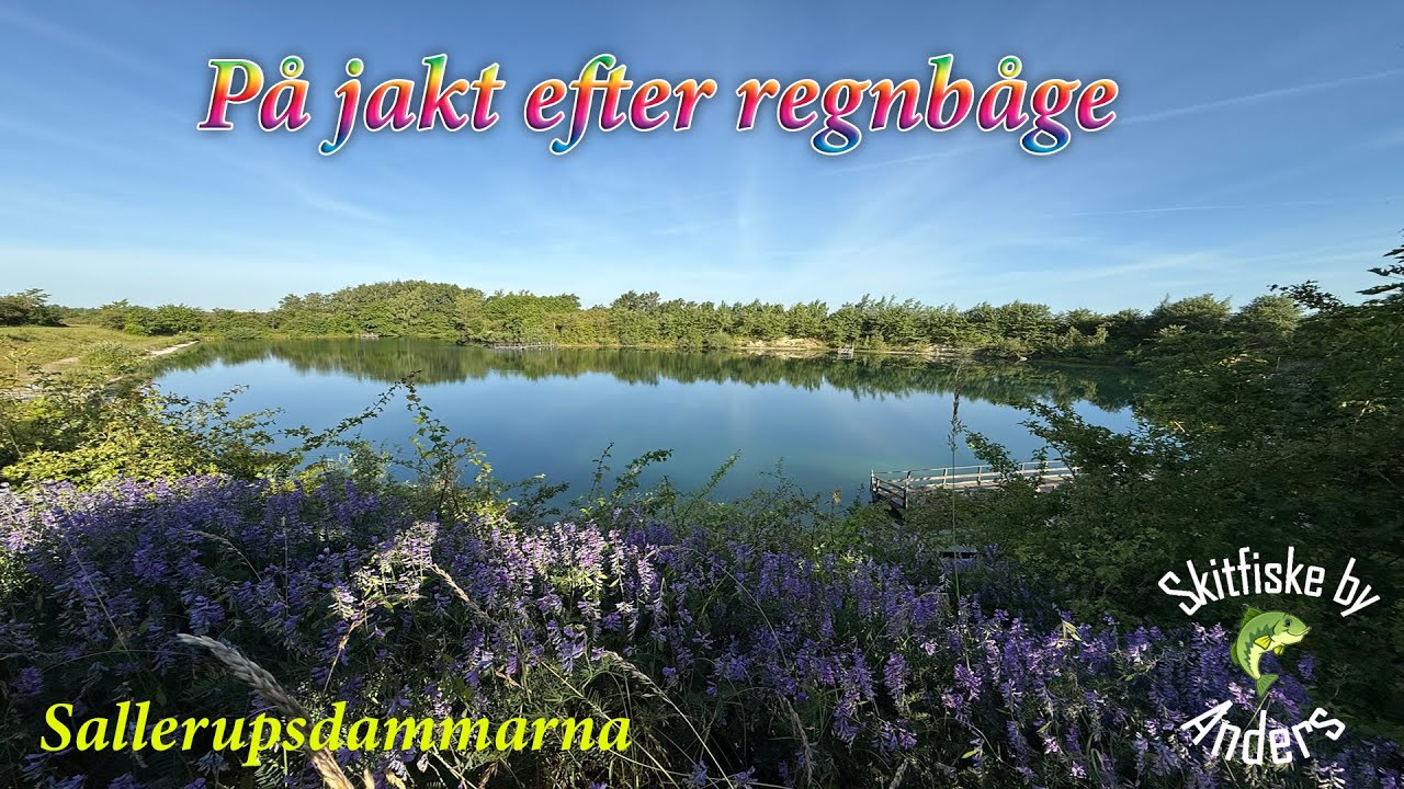 Jakten på regnbåge Sallerup