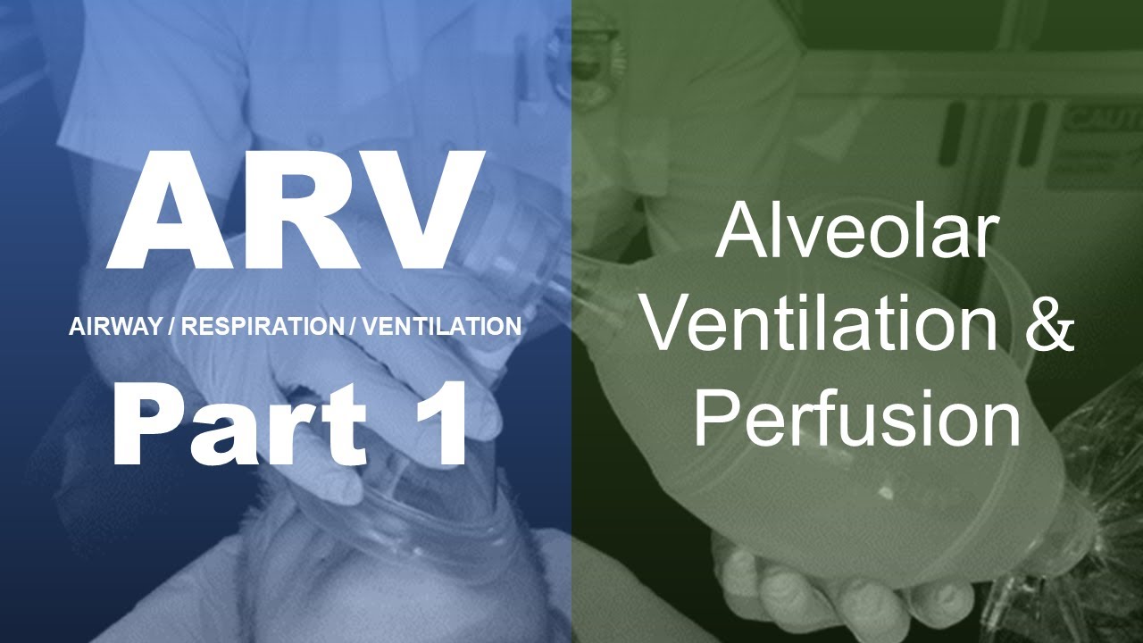 Ventilation & Perfusion - NCCP Airway Respiration Ventilation Continuing Education (Part 1)