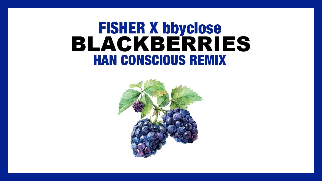FISHER X bbyclose - Blackberries (Han Conscious Remix) | Blackberries Remix