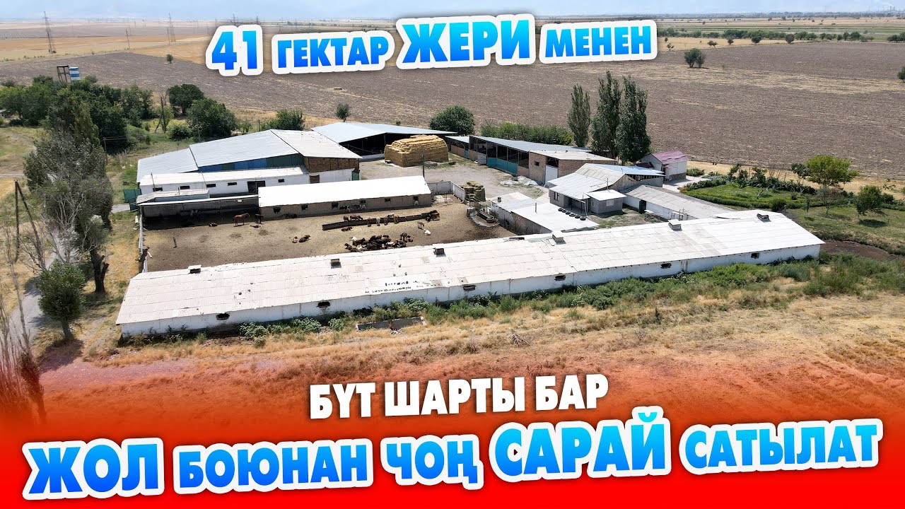 Бардык ШАРТЫ бар чоң САРАЙ 40 гектар айдоо ЖЕРИ менен САТЫЛАТ ~ Полтавка айылы, Трассага жакын турат