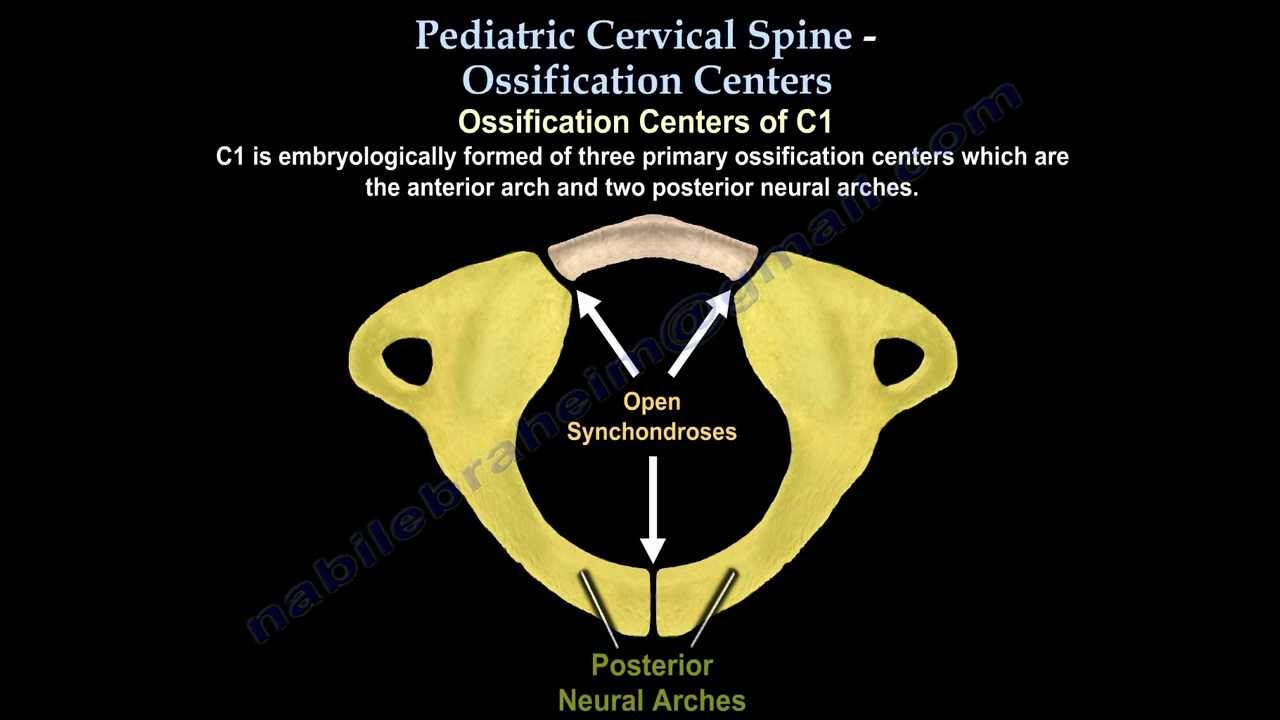 Pediatric Cervical Spine Ossification Centers - Everything You Need To Know - Dr. Nabil Ebraheim