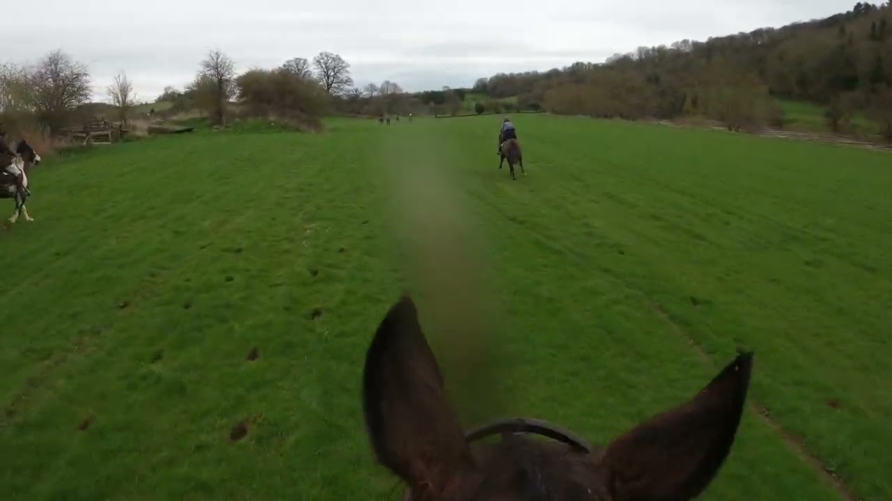 The Courtfield Cup - 2024 - Nibbles