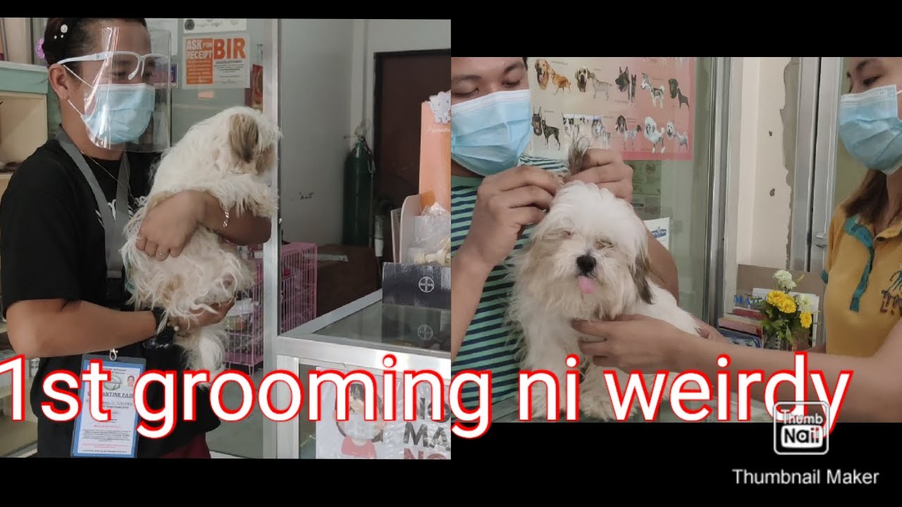Grooming ni weirdy April 11,2021