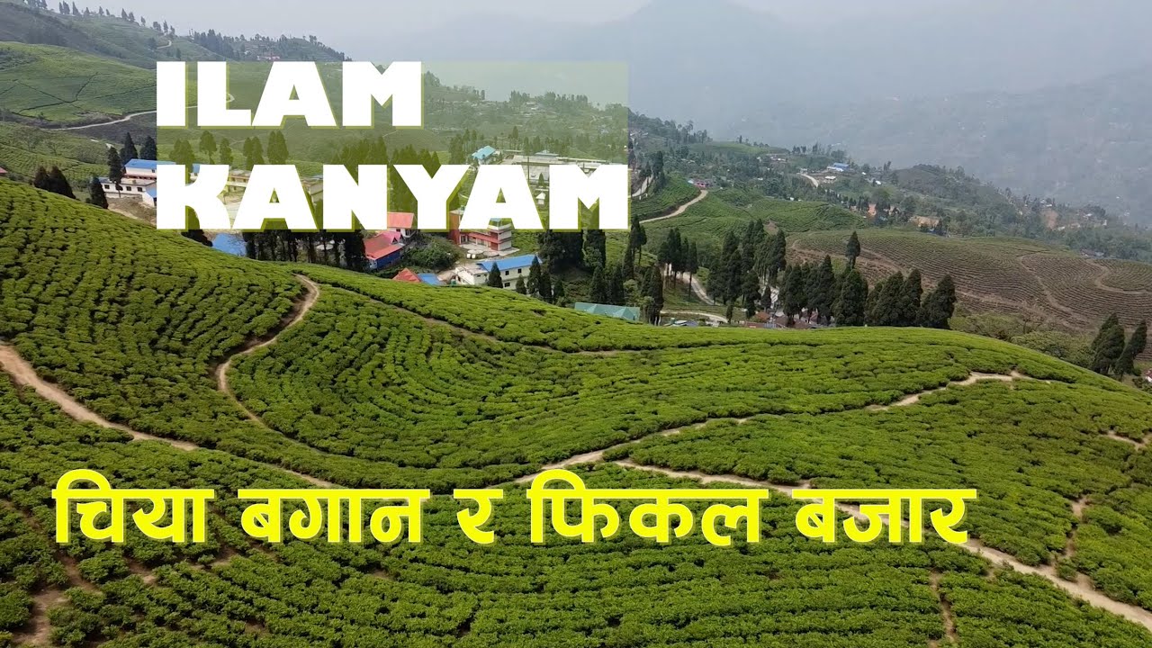 Fikal market ilam kanyam