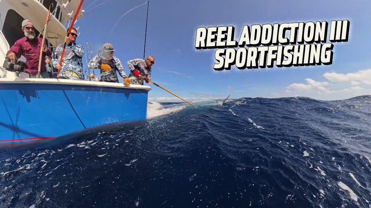 Бурное море, крупная рыба! 2 тихоокеанских голубых марлина и махи-махи на открытии сезона.
