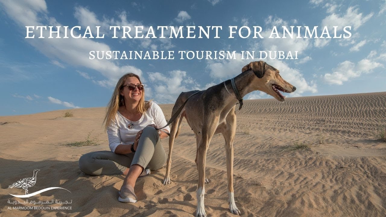 Ethical Treatment for Animals - Sustainable Tourism in Dubai