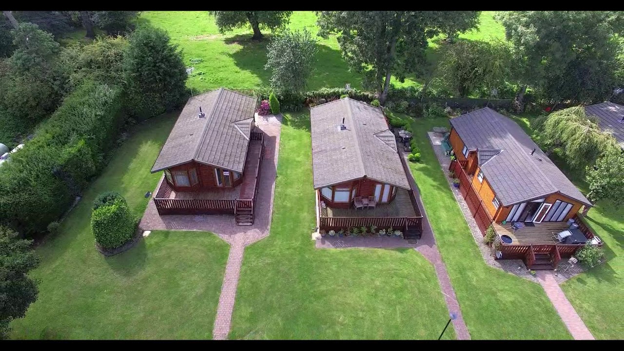 fir trees promotional video 2019