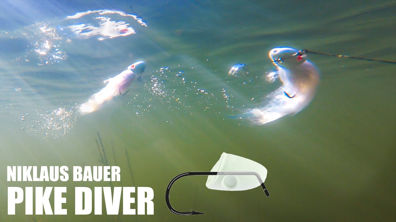 Pike Diver от Никлауса Бауэра