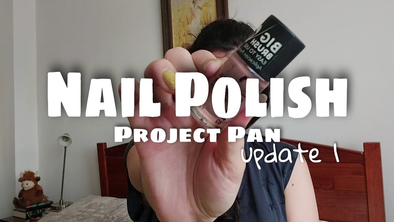Nail Polish Project Pan | Update 1