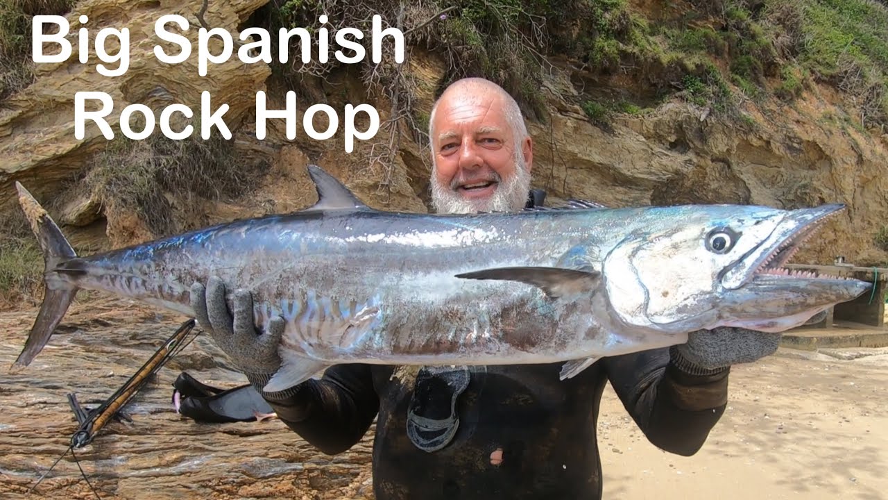 Big Spanish Mackerel Rock Hop Spearfishing