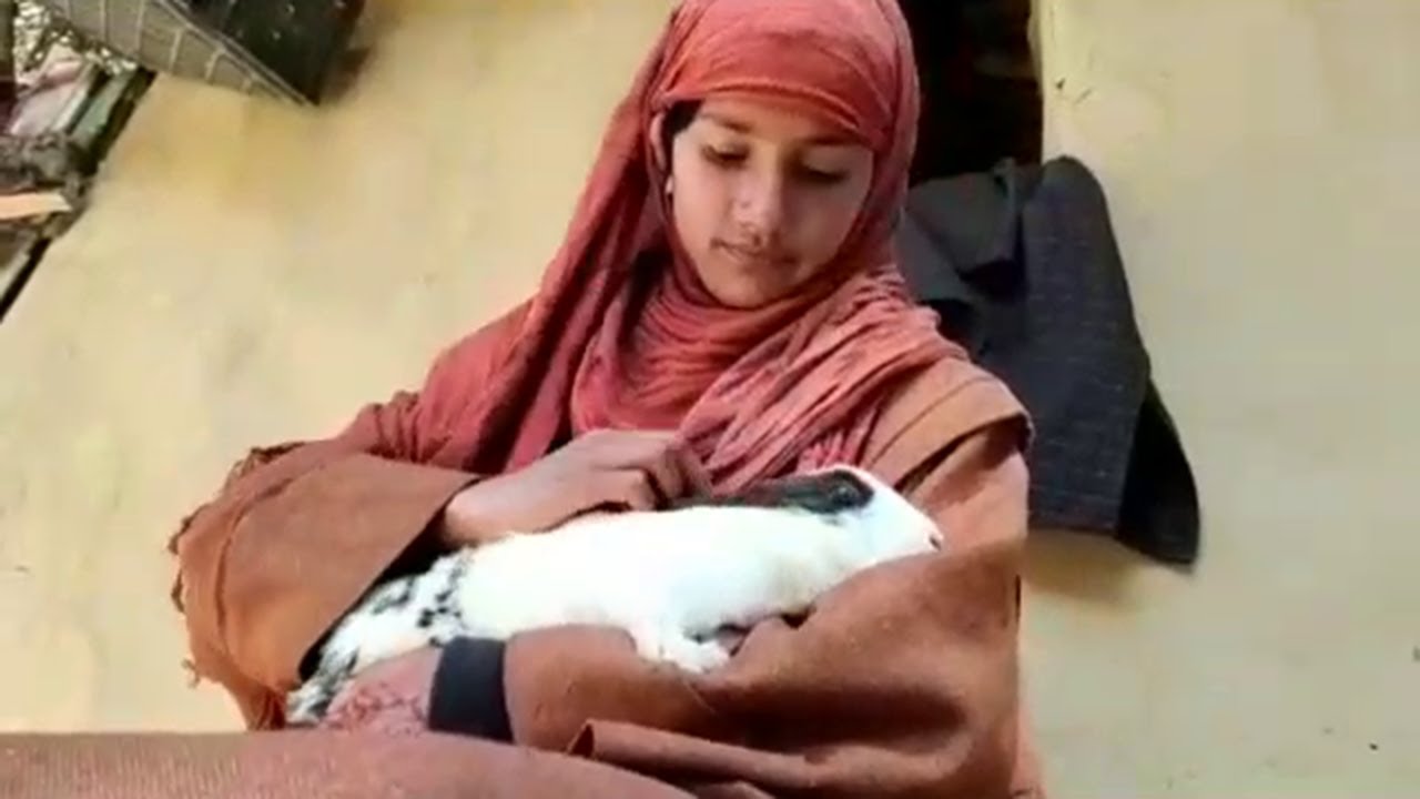 Pahalgam Girl Returns Gold Ring Worth Rs 1.5 Lakh To Tourist
