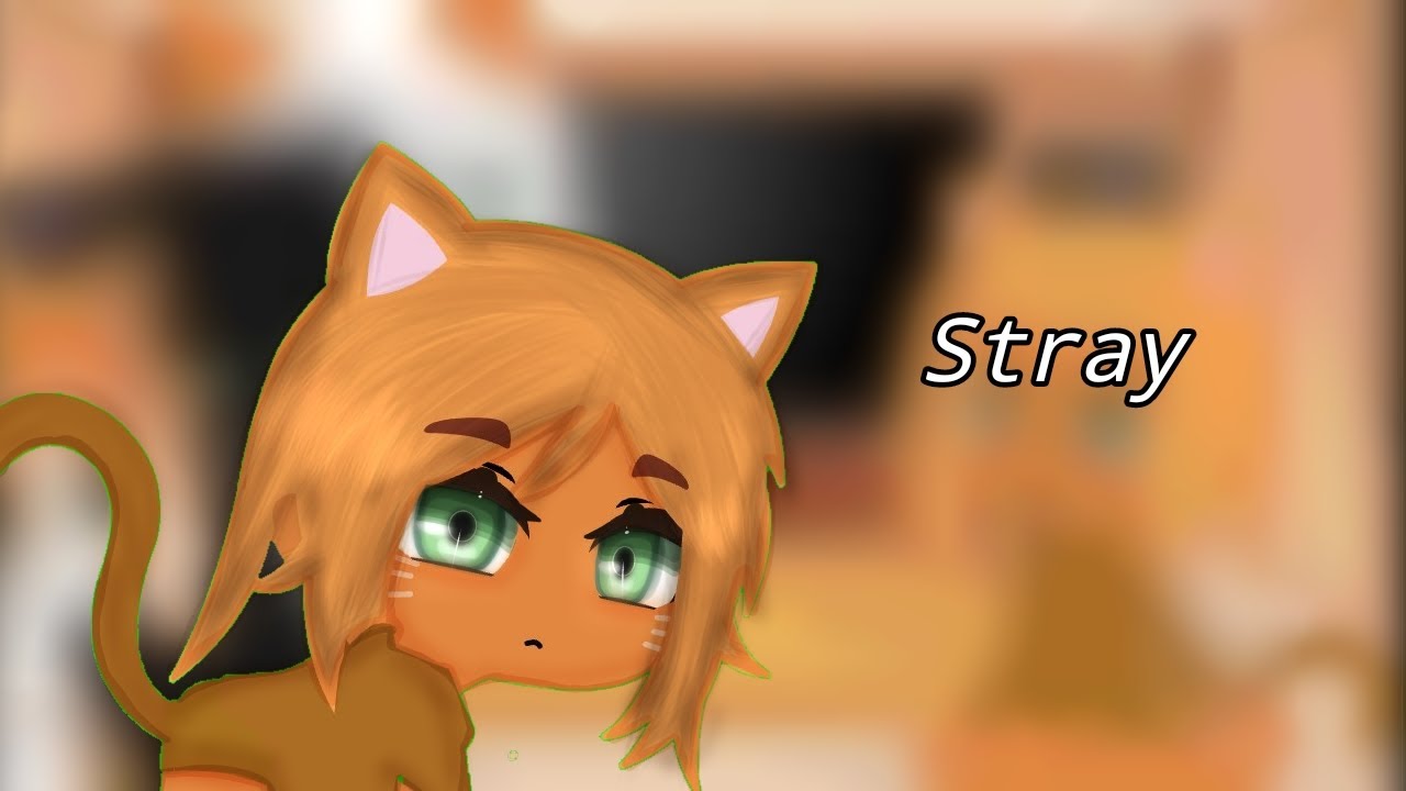 реакция гача лайф Stray на тт